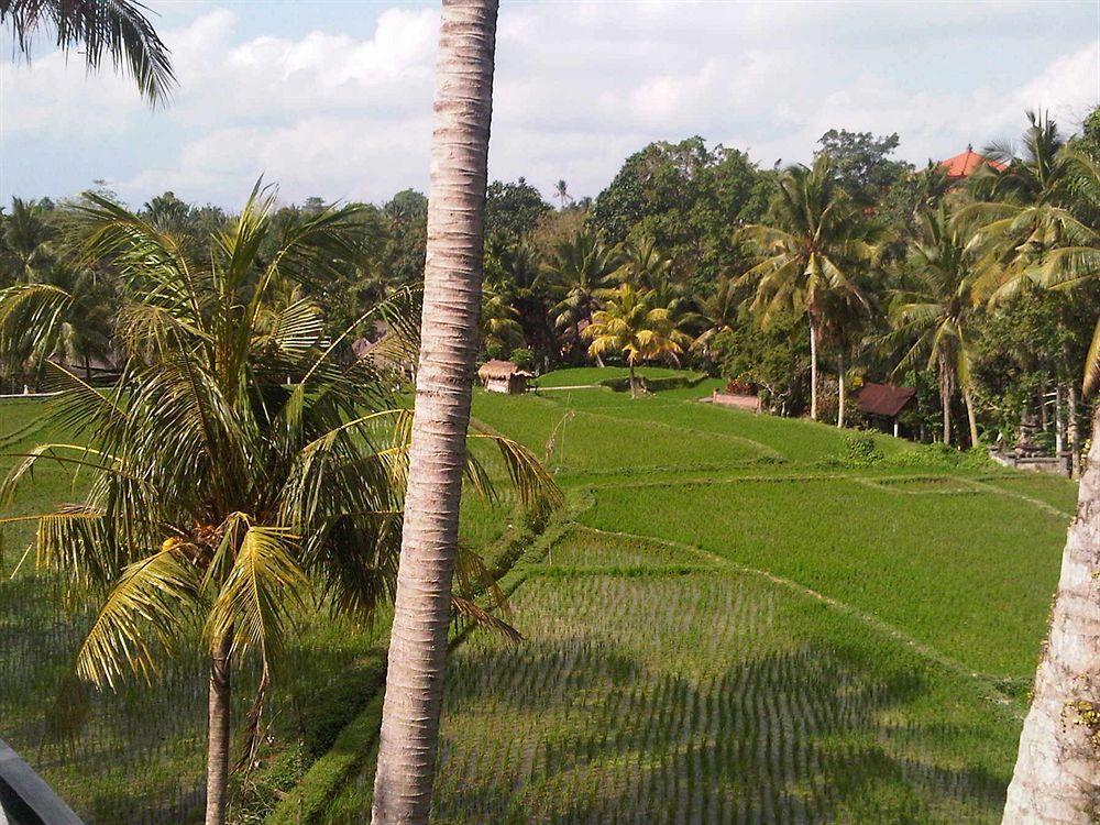 Motama Villa Ubud  Bagian luar foto